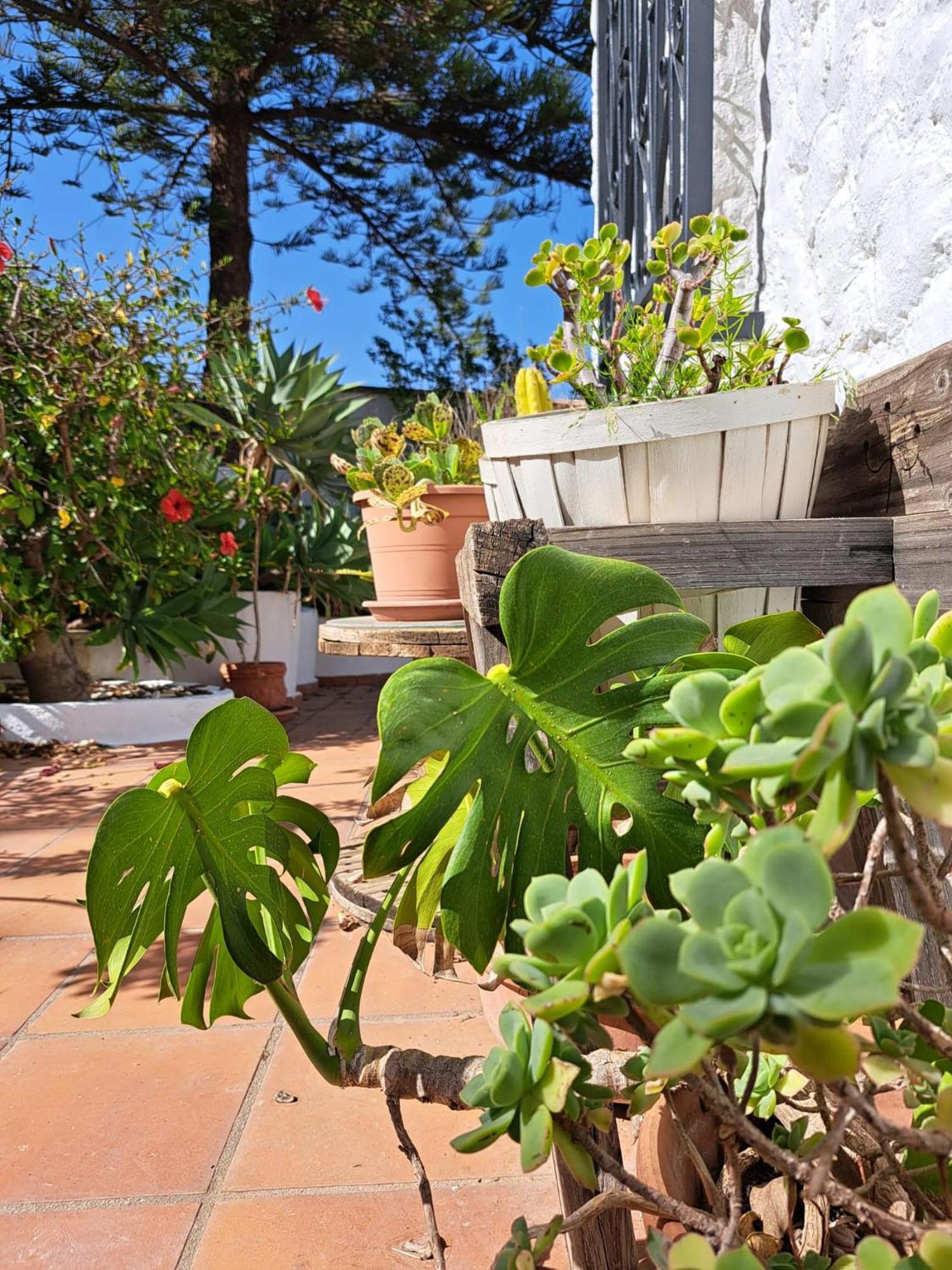 Casa Campo Mijas Costa Del Sol Malaga Luaran gambar